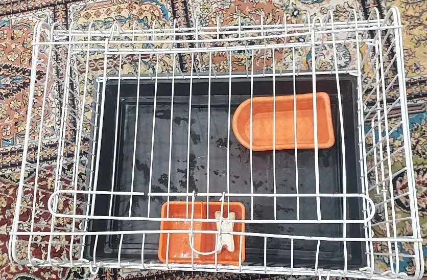 قفس همستر و خوکچه هندی و خرگوش و...|لوازم جانبی حیوانات|اصفهان, الهیه|دیوار