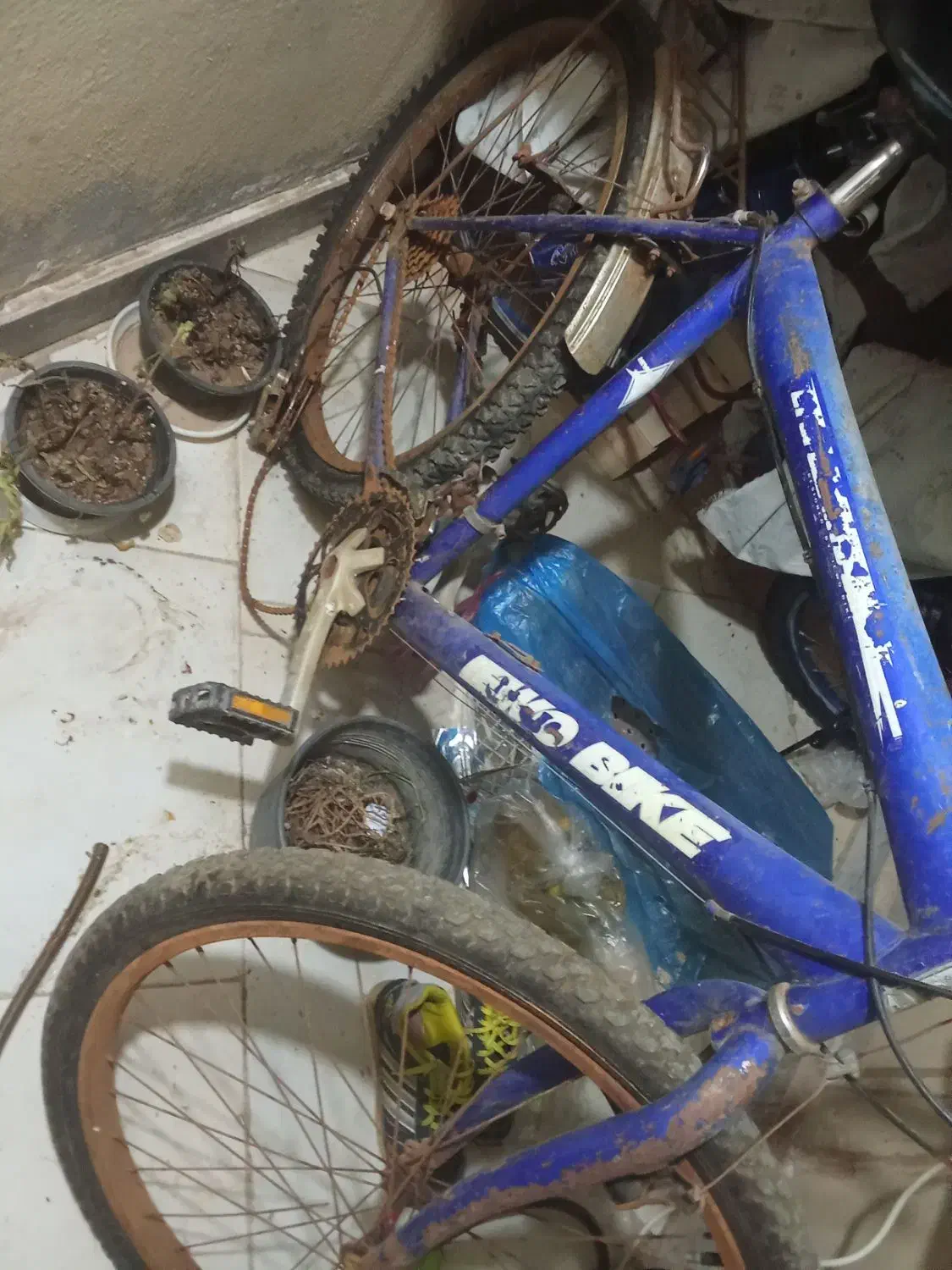 دوچرخه|دوچرخه، اسکیت، اسکوتر|پرند, فاز ۶|دیوار