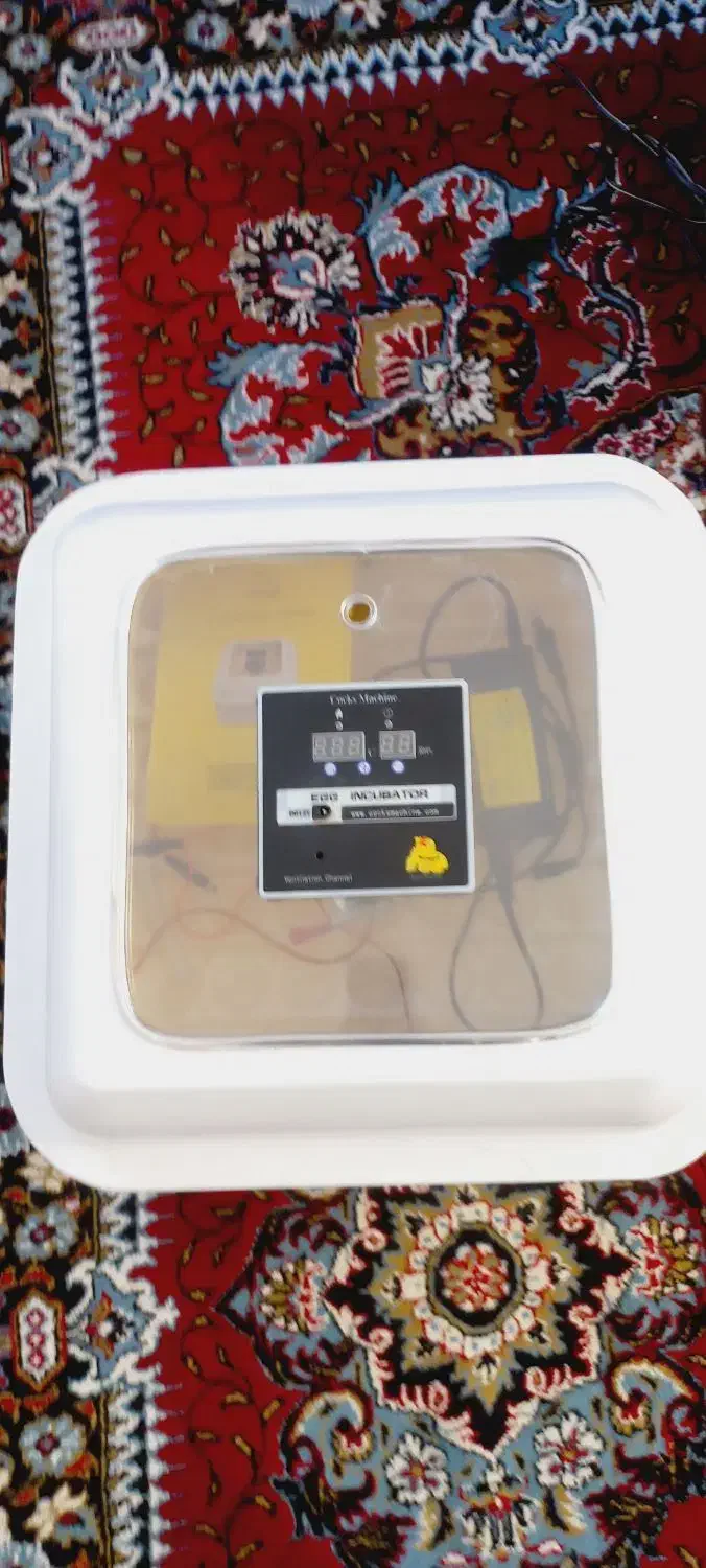 دستگاه جوجه کشی|لوازم جانبی حیوانات|اردبیل, |دیوار