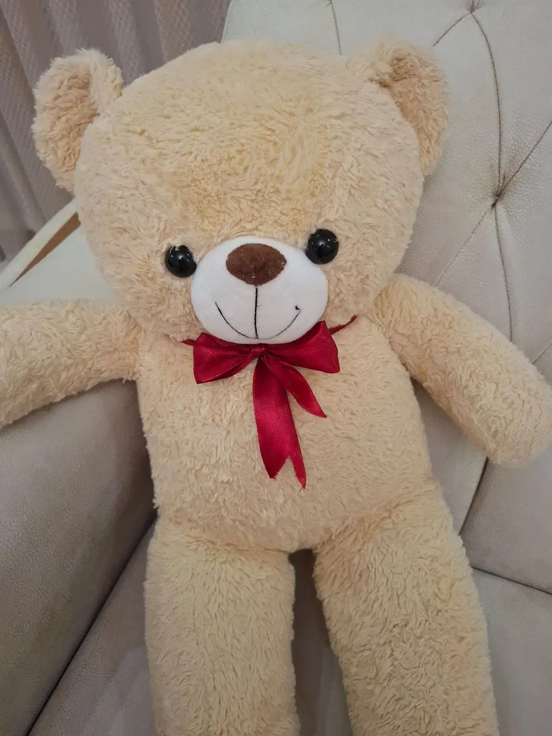 خرس|اسباب‌‌بازی|زنجان, |دیوار