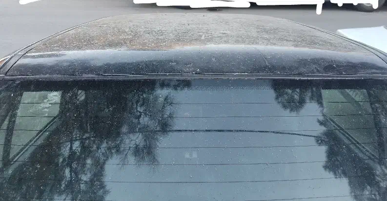 پراید ۸۴ مشکی|خودرو سواری و وانت|مشهد, فاطمیه|دیوار