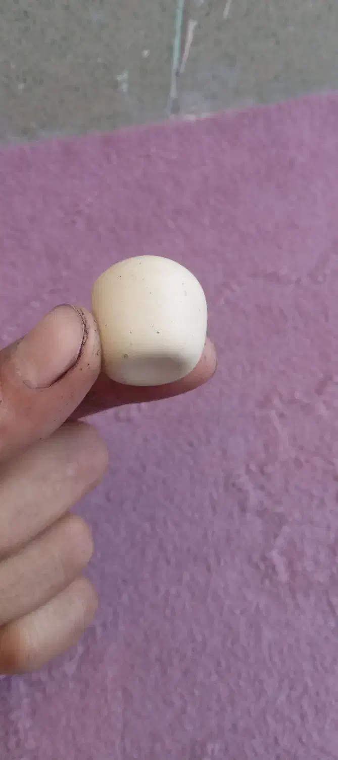 سنگ الماس آسیاب|کلکسیون اشیاء عتیقه|زرند, |دیوار