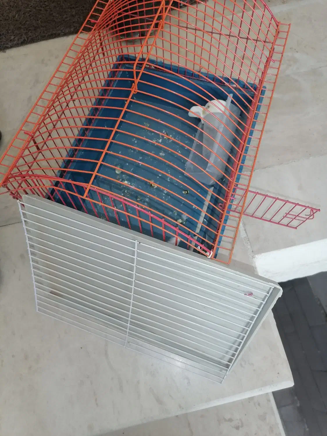 قفس وطلق موتور وباکس کنتراب  قیمت منصفانه|لوازم جانبی حیوانات|سبزوار, گلشن|دیوار