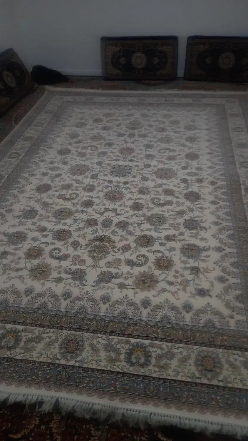 فرش ۹ متری ۱۲۰۰ شانه وزرا|فرش|چهاردانگه (تهران), |دیوار