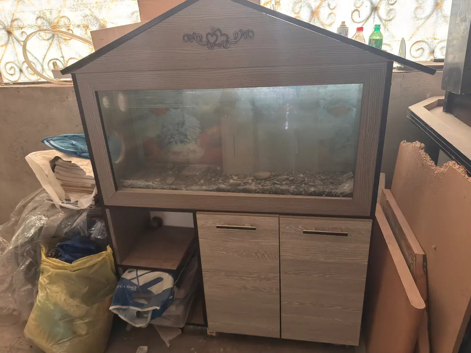 اکواریوم|ماهی|تهران, شهرک بوعلی|دیوار