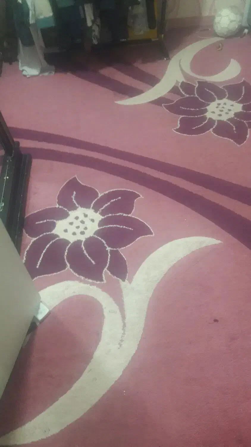 گلیم فرش|گلیم، جاجیم، گبه|بندر ماهشهر, |دیوار