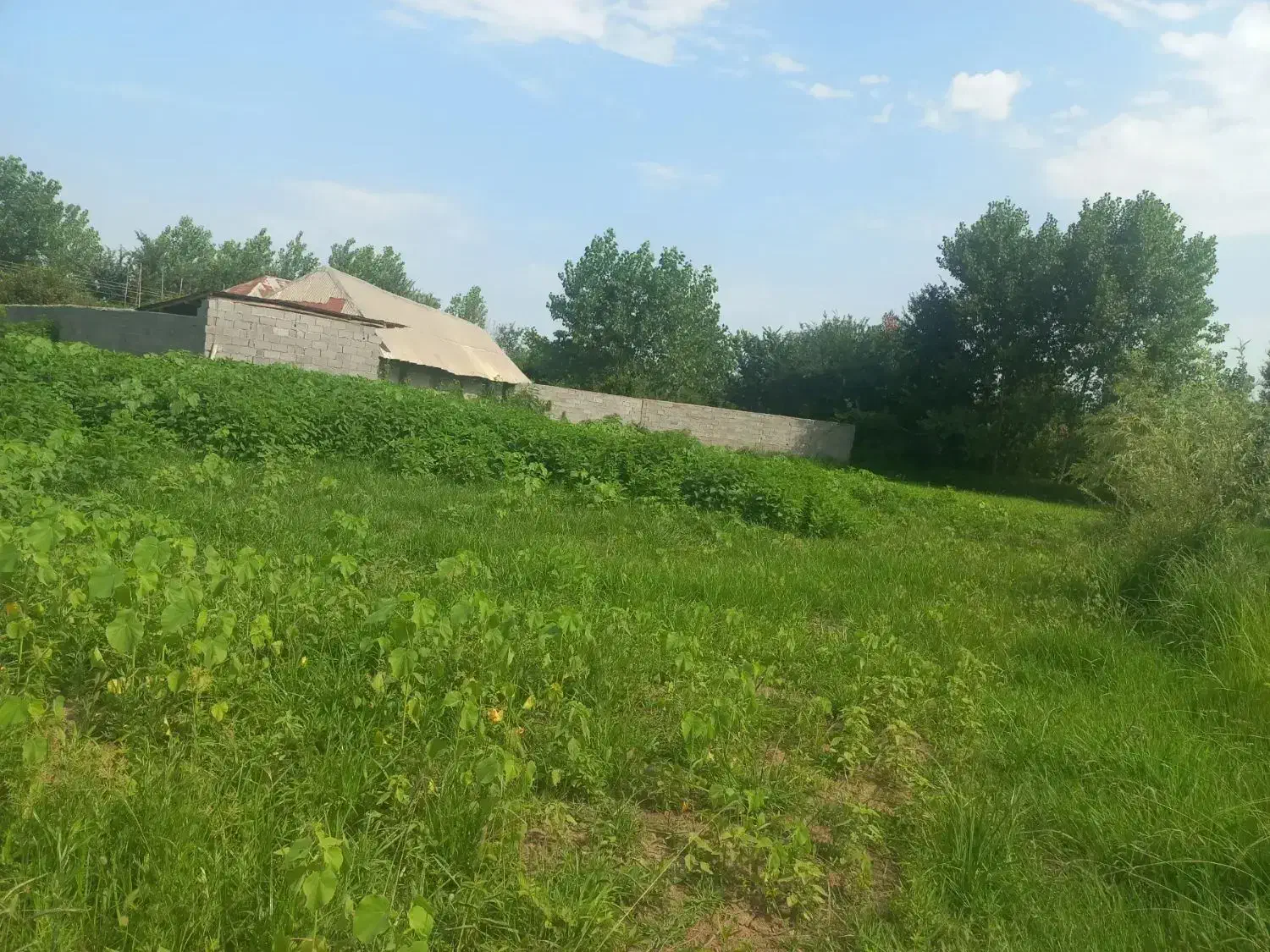 فروش فوری ۲۴۲۵متر زمین مسکونی با مدارک کامل اوقافی|فروش زمین و ملک کلنگی|سنگر, |دیوار