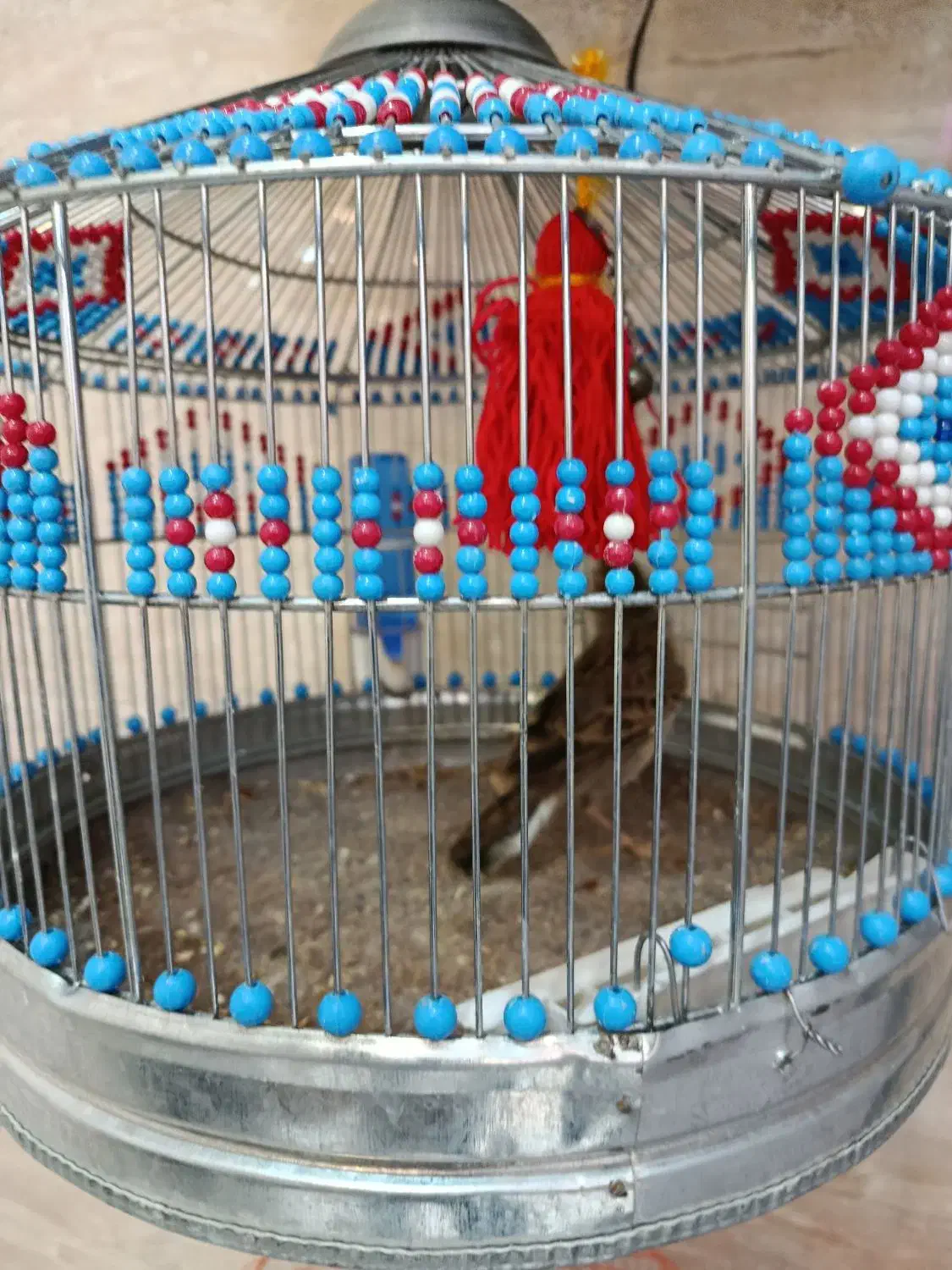 سره خاکی|پرنده|قم, عمار یاسر|دیوار