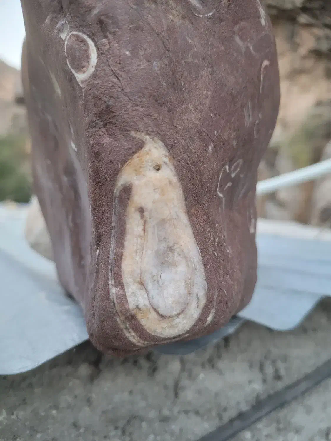 سنگ فوصیل یا چی|کلکسیون اشیاء عتیقه|آفتاب, |دیوار