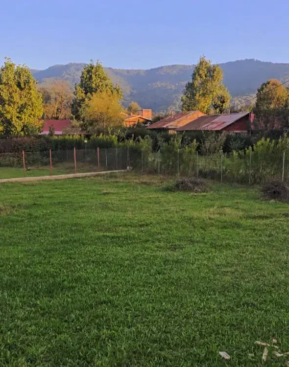 زمین مسکونی سی دشت رشی ۴۰۰ متر|فروش زمین و ملک کلنگی|بره‌سر, |دیوار