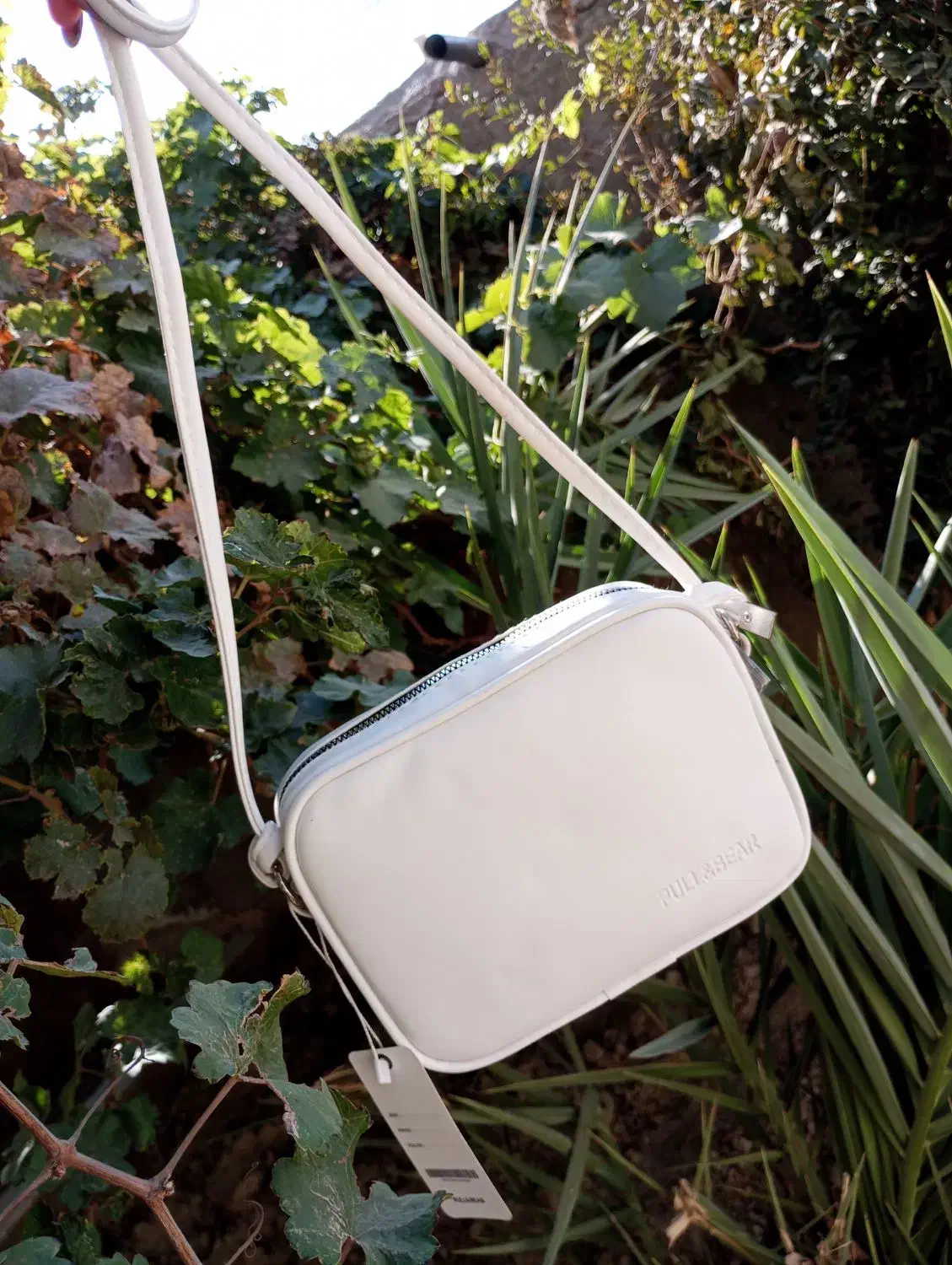 کیف|کیف، کفش، کمربند|زابل, |دیوار