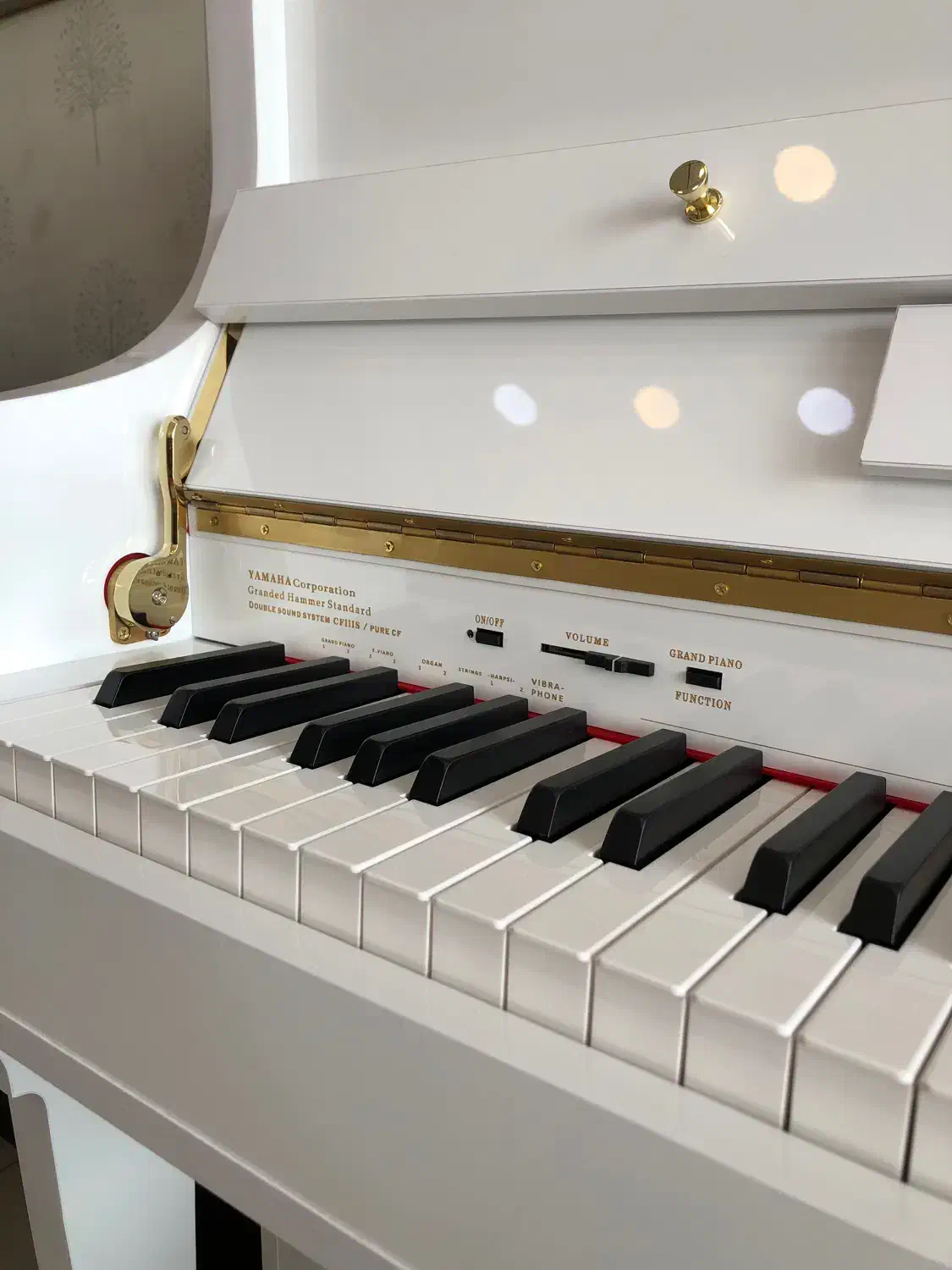 پیانو طرح اکوستیک یاماها p48 pro|پیانو، کیبورد، آکاردئون|شیراز, رازی|دیوار