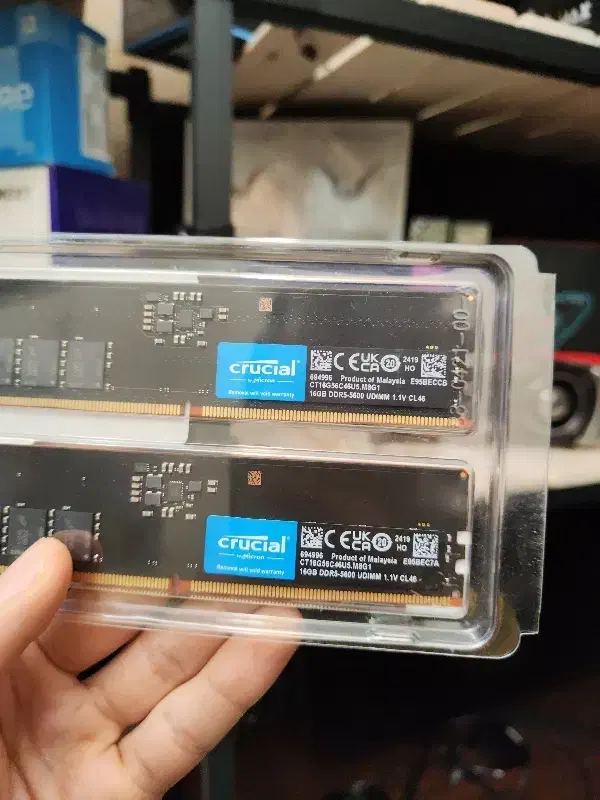 کیت رم اکبند ddr5 crucial 5600 32g و ssd|قطعات و لوازم جانبی رایانه|مشهد, گوهرشاد|دیوار