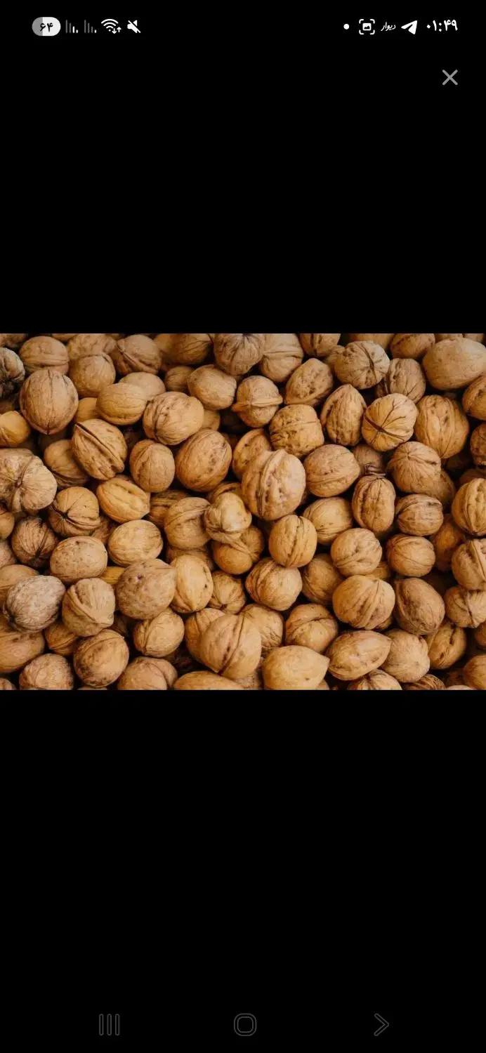 گردو|خوردنی و آشامیدنی|سلماس, |دیوار
