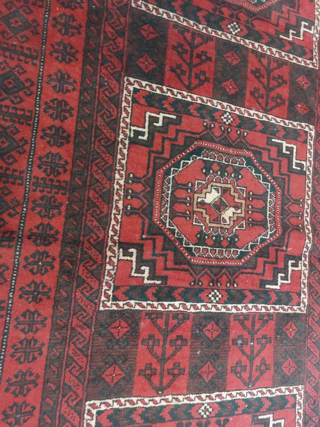 قالیچه دست بافت بلوچی|فرش|زاهدان, |دیوار