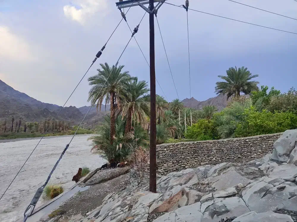 تورلیدر،گردشگری،گشت،اسکان،اقامت|تور و چارتر|جاسک, |دیوار