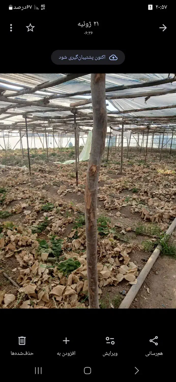 اجاره گلخانه|اجارهٔ دفتر صنعتی، کشاورزی، تجاری|اصفهان, ارداجی|دیوار