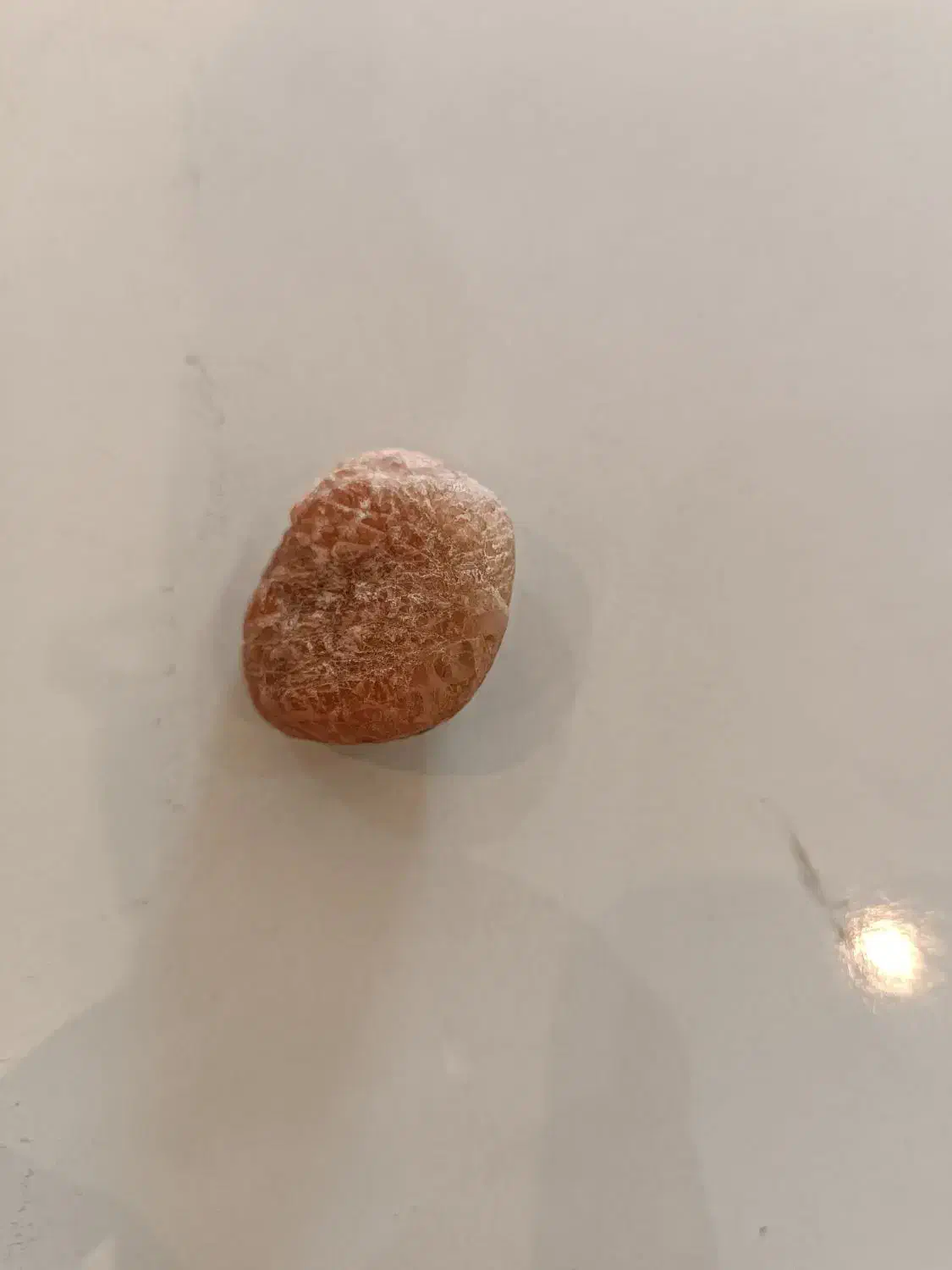 سنگ قرمز|کلکسیون اشیاء عتیقه|پارسآباد, |دیوار