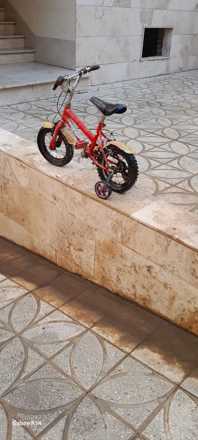 دوچرخه|دوچرخه، اسکیت، اسکوتر|پاکدشت, پاکدشت (مامازند)|دیوار