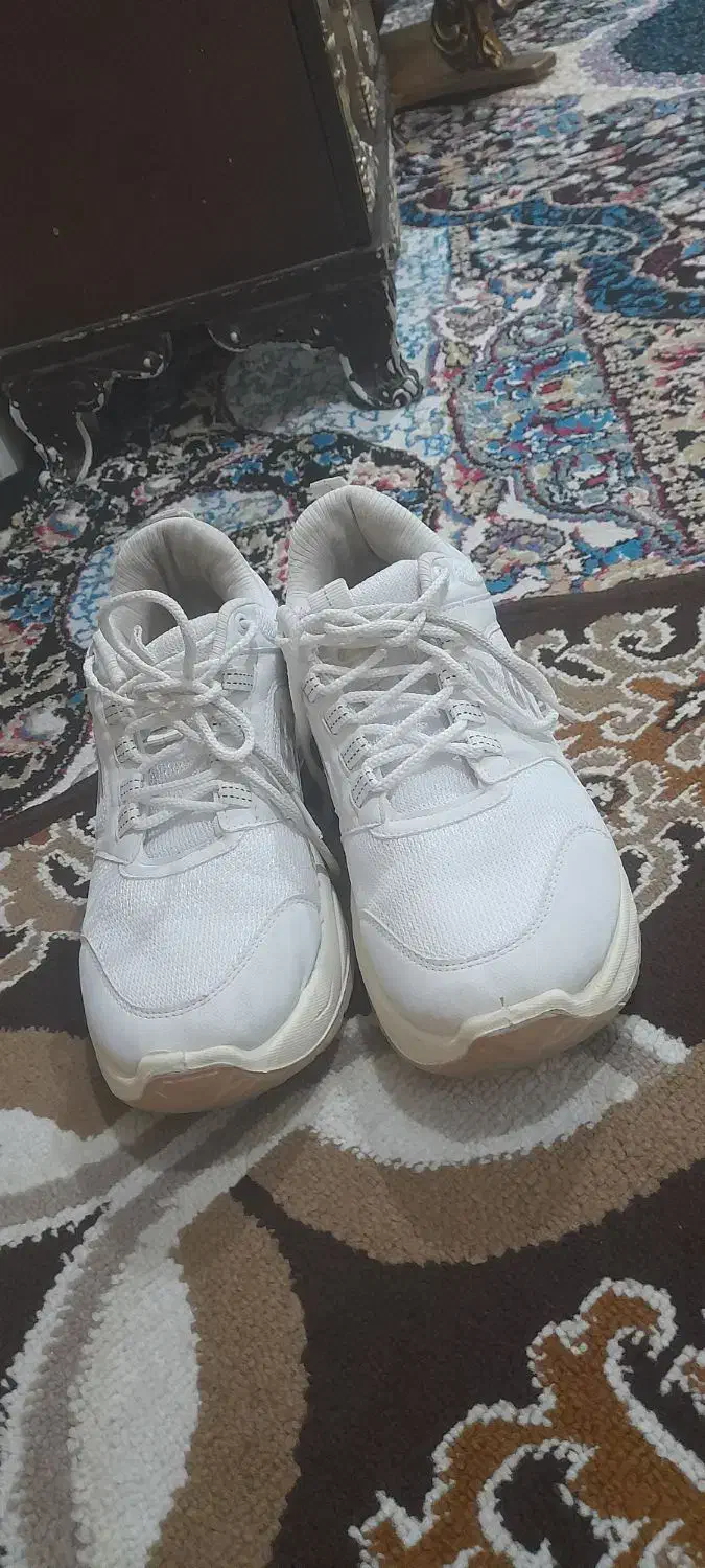 اسپرت زنانه|کیف، کفش، کمربند|بهبهان, |دیوار