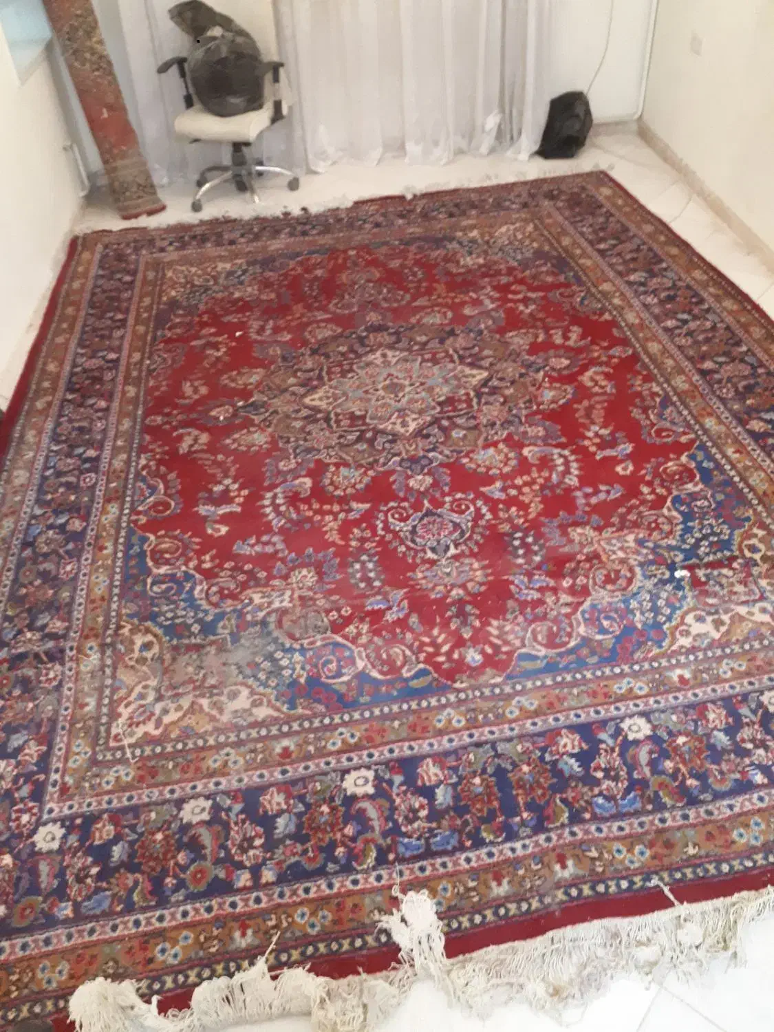 فرش دستی ۱۲ متری|فرش|مشهد, هنرور|دیوار