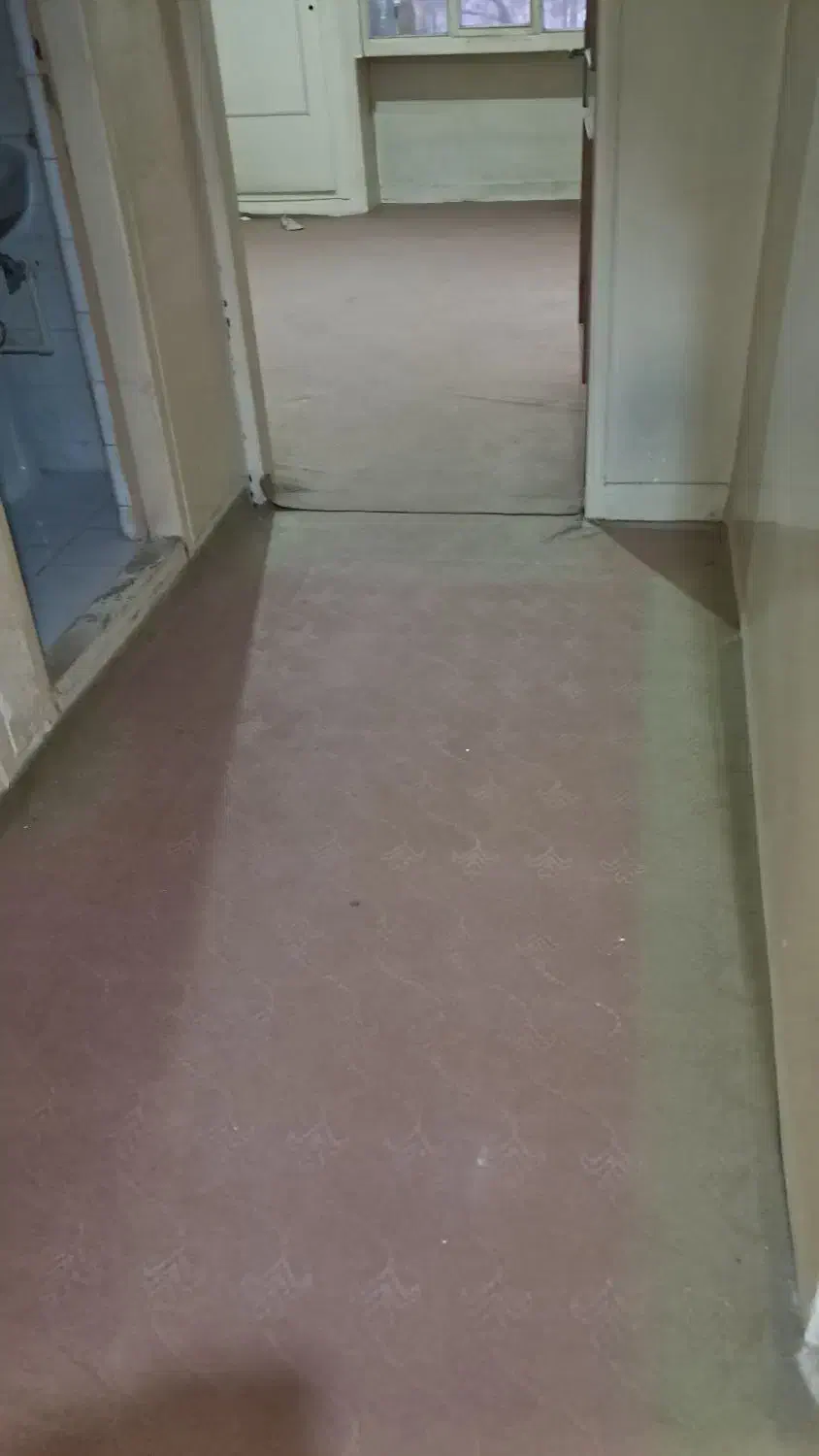 موکت|موکت|فولادشهر, B6|دیوار