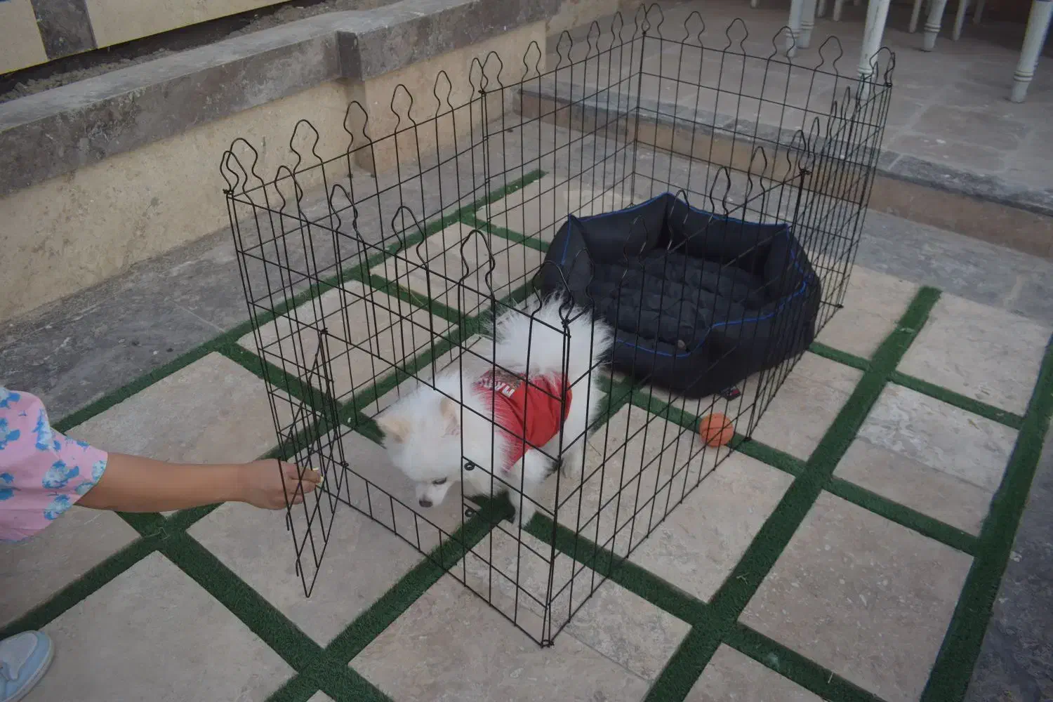 انواع پارک سگ با کیفیت و قیمت استثنایی|لوازم جانبی حیوانات|مشهد, شهید بهشتی|دیوار