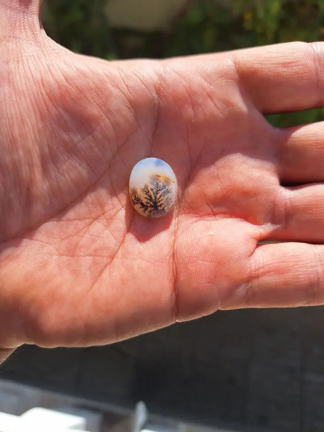 شجر کلکسیونی|جواهرات|ساوه, |دیوار