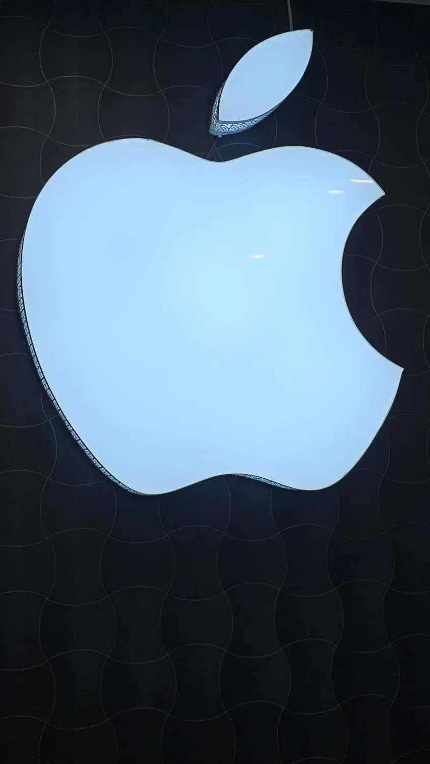 تابلوی لوگوی اپل بزرگ|تابلو، نقاشی، عکس|یزد, |دیوار