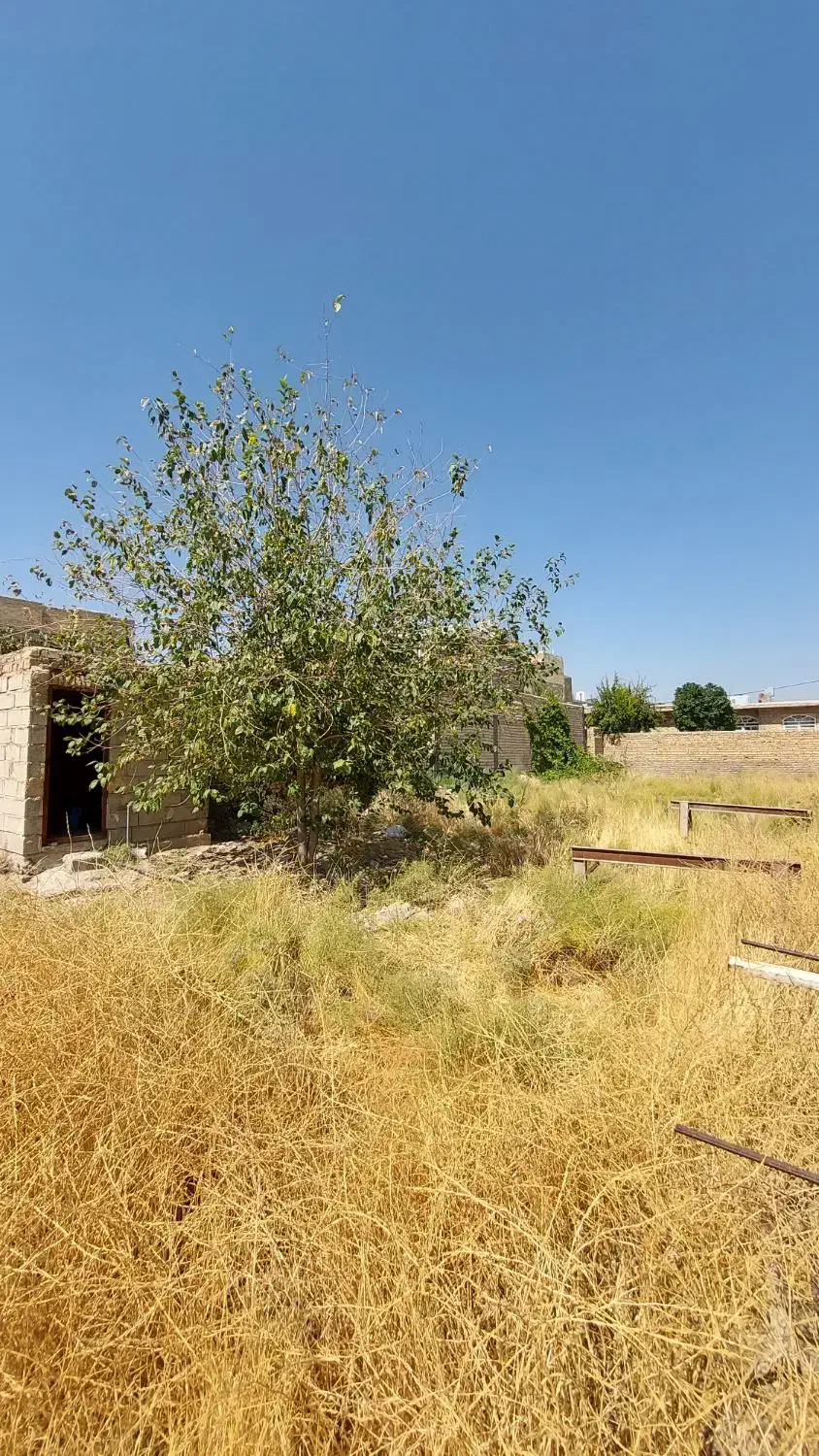فروش زمین ۲۸۰ متری|فروش زمین و ملک کلنگی|مرودشت, مختارآباد|دیوار