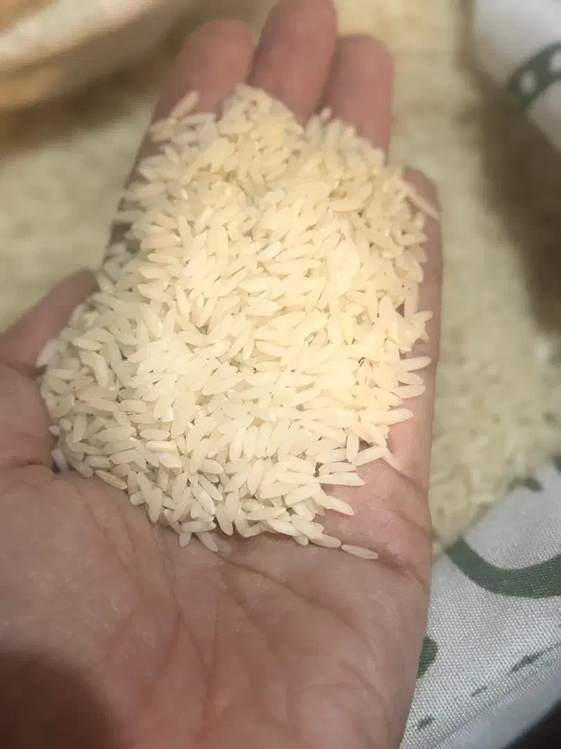 برنج طارم هاشمی و طارم محلی ارزانتر از هر جا|خوردنی و آشامیدنی|تهران, میرداماد|دیوار