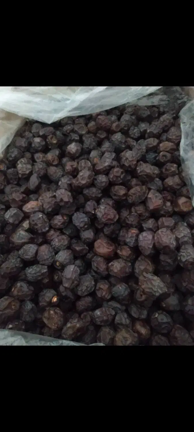 خرما گنتال یا آلویی|خوردنی و آشامیدنی|چمستان, |دیوار