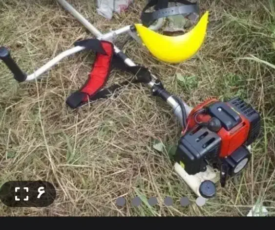 چمن زنی و وارجینا|خدمات باغبانی و درختکاری|صومعه‌سرا, |دیوار