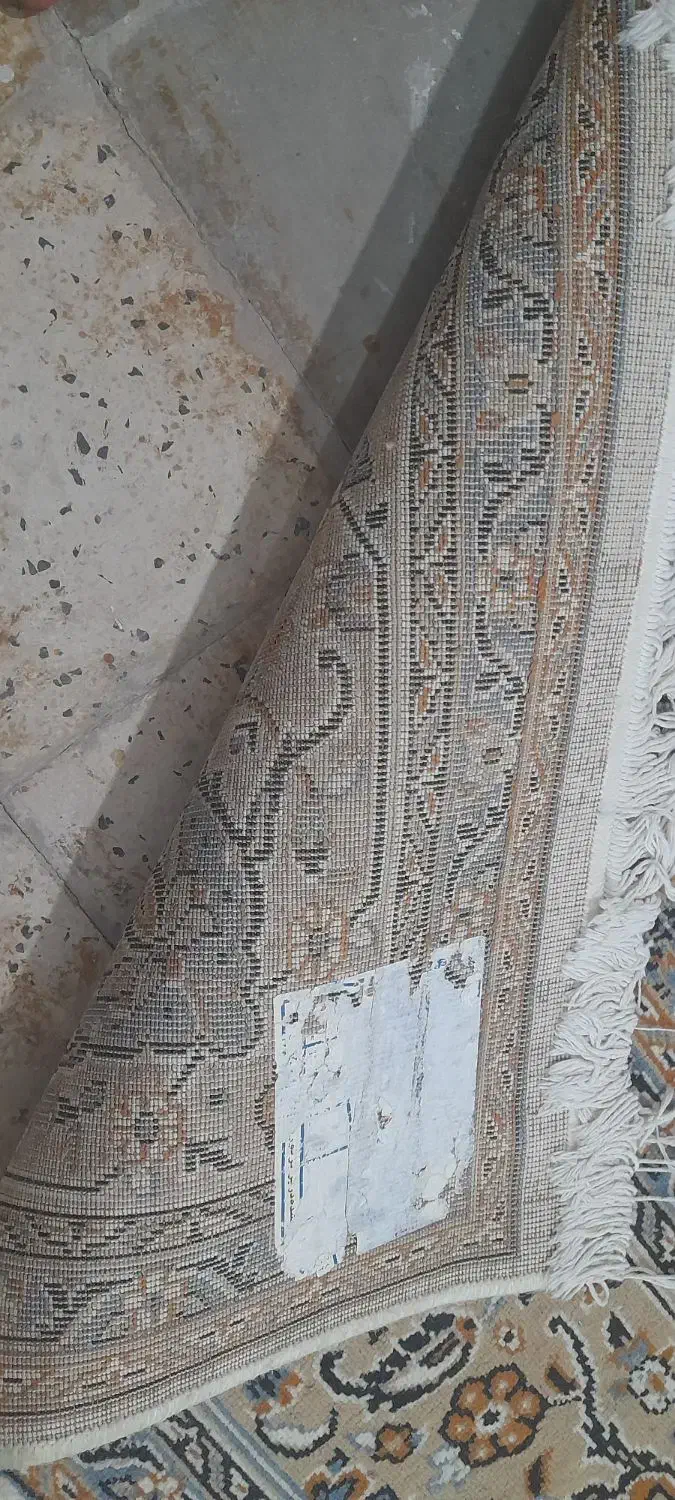 فرش ۱۲ متری|فرش|کرمانشاه, |دیوار