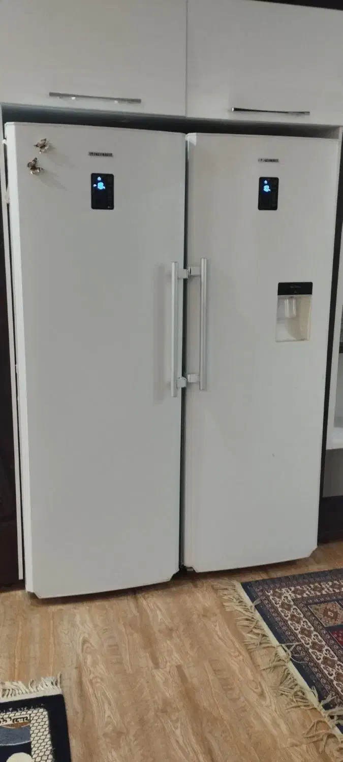 تعمیر یخچال وفریزر در اسرع وقت|خدمات پیشه و مهارت|شاهرود, |دیوار