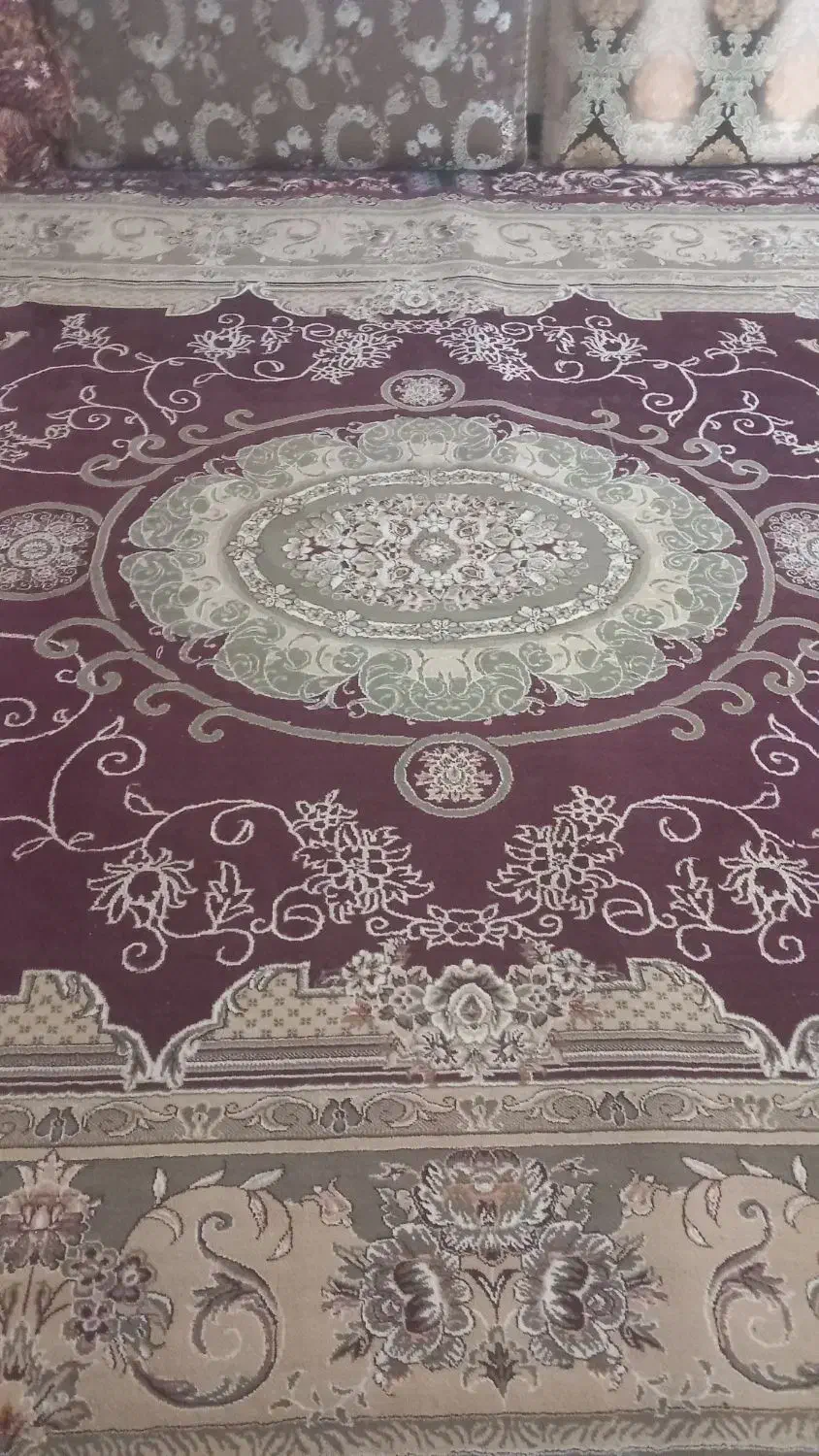 قالی ۱۲متری درحد نو|فرش|گتوند, |دیوار