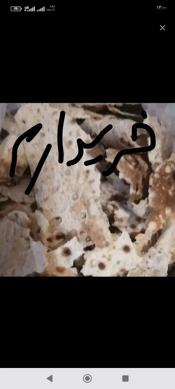 نان خشک گوسفندی|حیوانات مزرعه|یزد, |دیوار