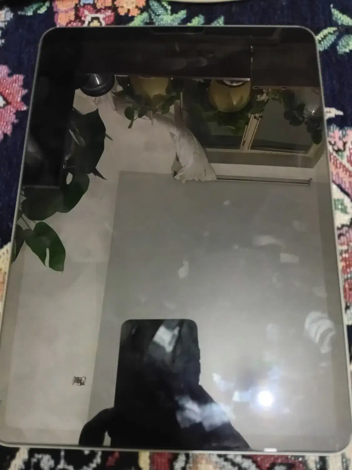 ایپد پرو ۲۰۲۲|تبلت|تهران, فردوسی|دیوار