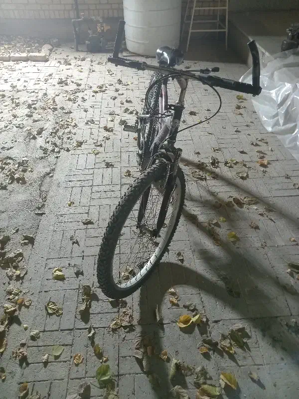 دوچرخه سالم تمیز|دوچرخه، اسکیت، اسکوتر|شاهین‌شهر, برخوار غرب|دیوار