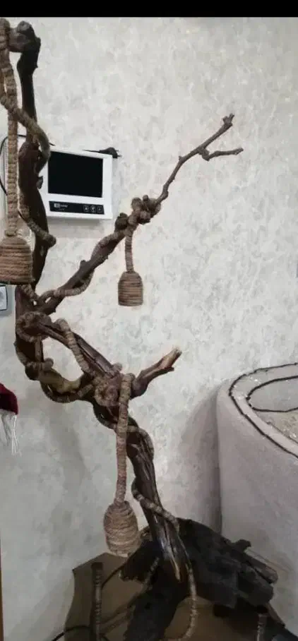 آباژور چوبی|صنایع دستی و سایر لوازم تزئینی|آبادان, |دیوار