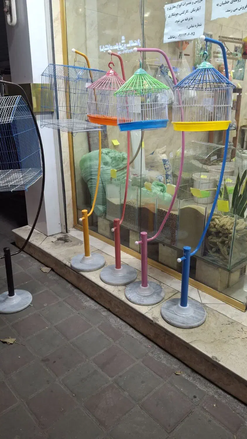 پت شاپ نوک طلا|لوازم جانبی حیوانات|رشت, معلولین|دیوار