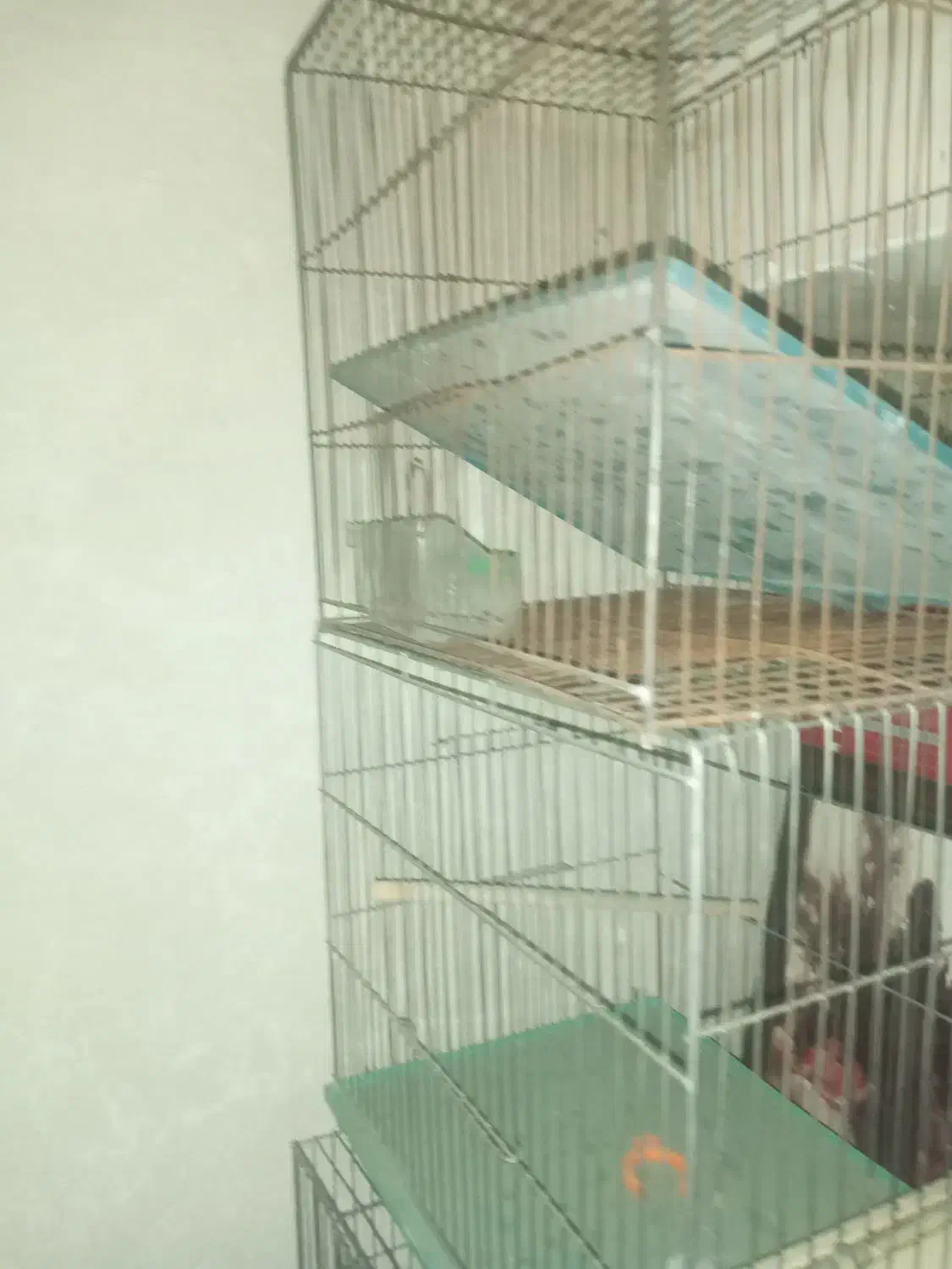 قفس پرنده|لوازم جانبی حیوانات|تهران, علم و صنعت|دیوار
