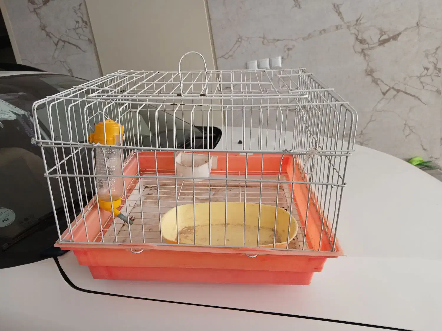 قفس خرگوش با تجهیزات|موش و خرگوش|زنجان, |دیوار