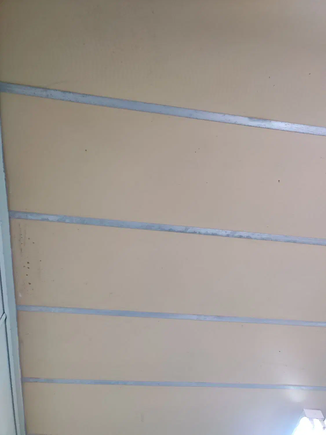 اجاره تک خواب|اجارهٔ آپارتمان|کنارک, |دیوار