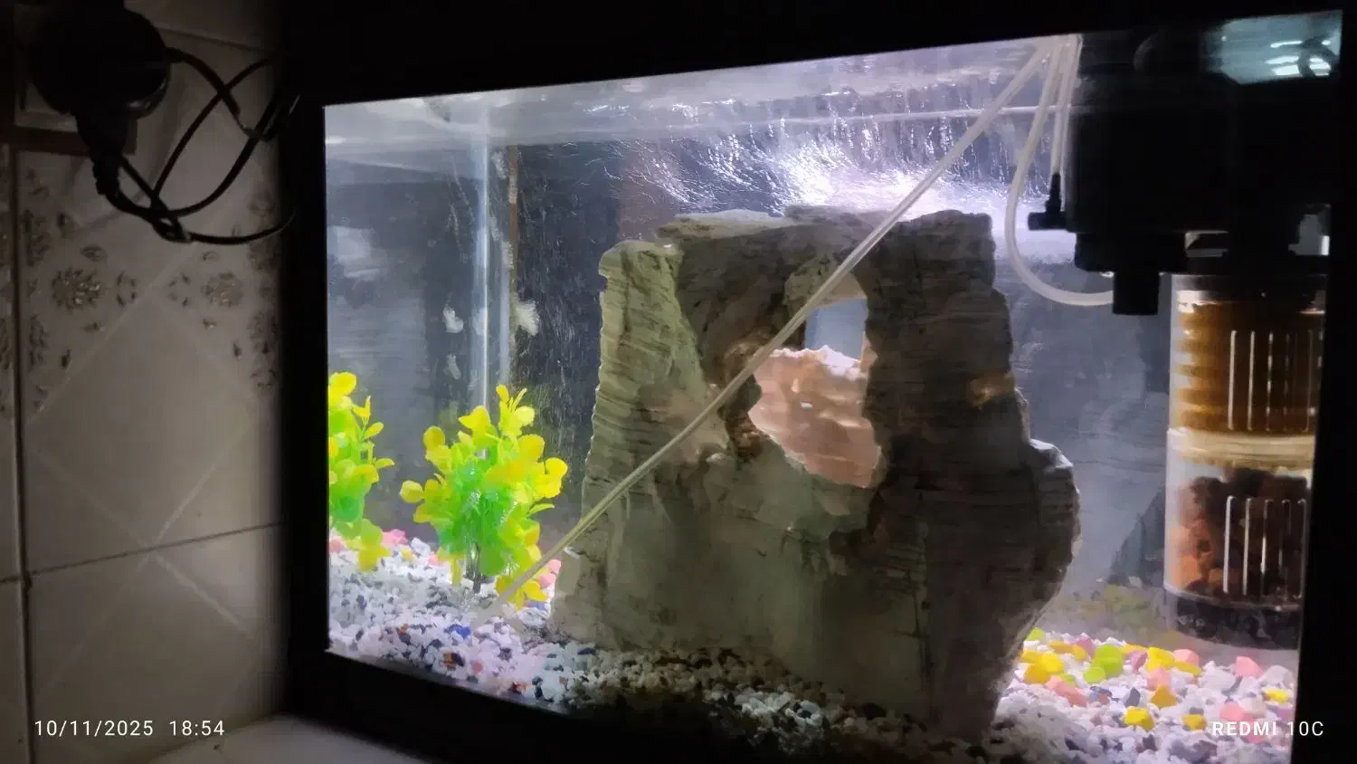 آکواریوم شیشه خم ( با تمام تجهیزات )|ماهی|تهران, جابری|دیوار