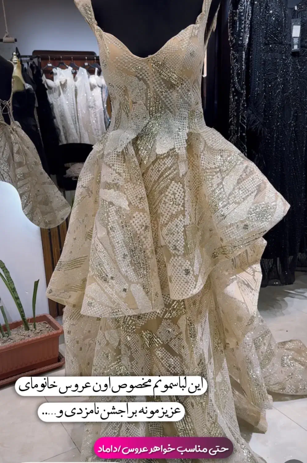 لباس مجلسی|لباس|اردبیل, |دیوار