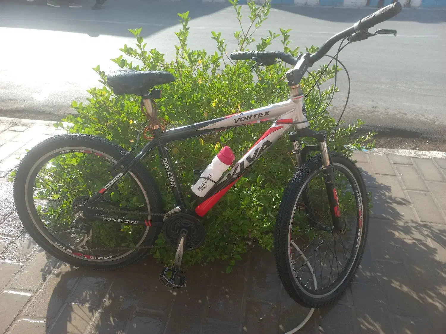 دوچرخه ویوا اصل فروشی|دوچرخه، اسکیت، اسکوتر|زابل, |دیوار