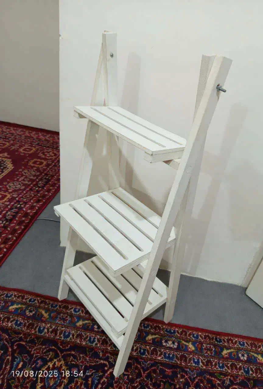 استندگل وشلف|گل و گیاه طبیعی|تهران, اقدسیه|دیوار