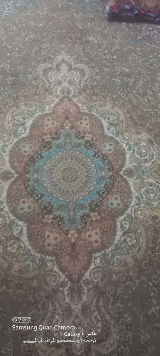 فرش ۷۰۰ شانه ۹ متری|فرش|کلاله, |دیوار