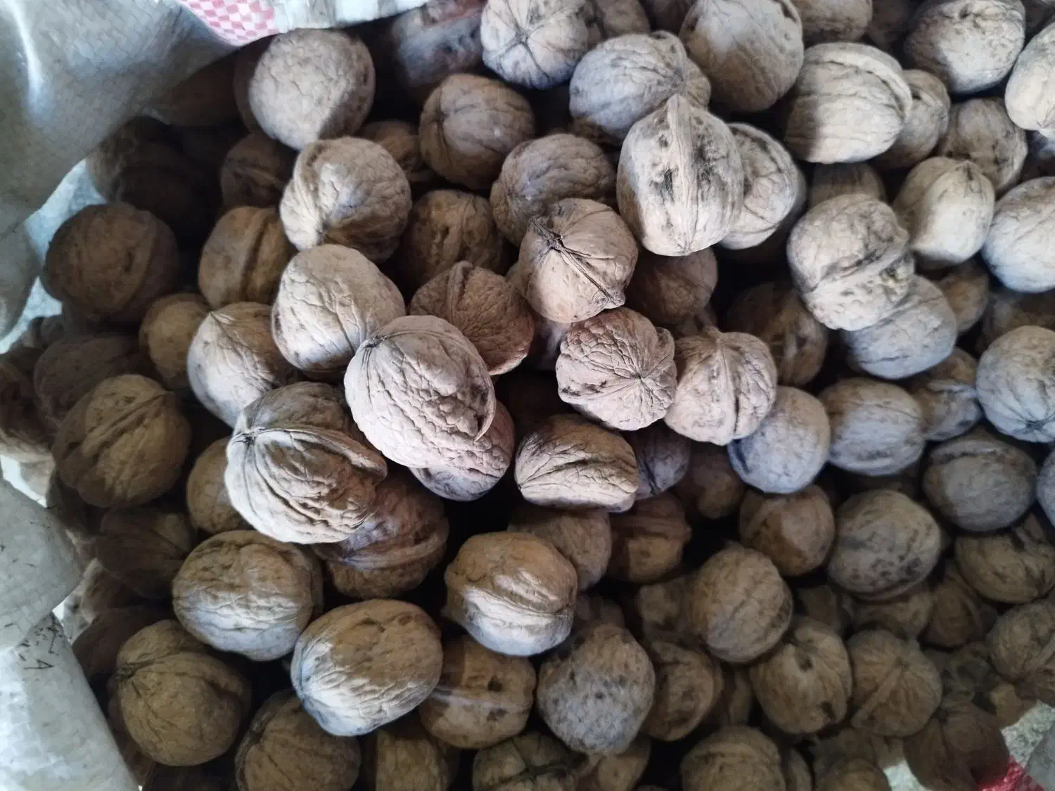 گردو درجه یک|خوردنی و آشامیدنی|اسدآباد, |دیوار